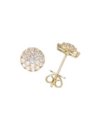Cluster 1 Earrings