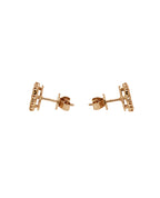 Flower Illusion Earrings