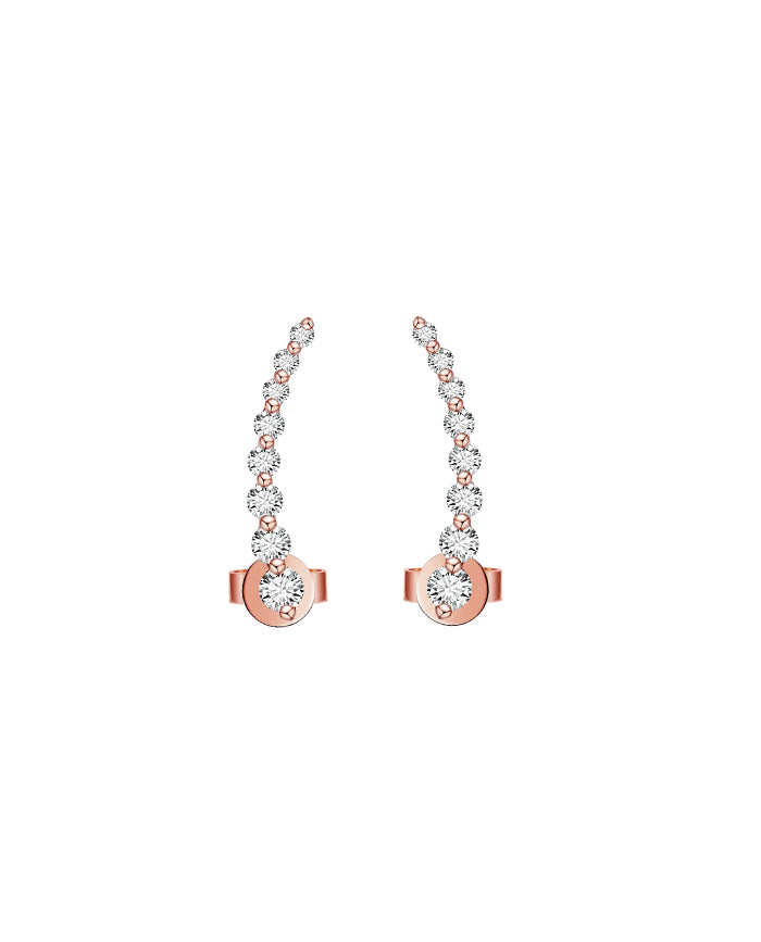 Libellule Earrings