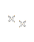 Lucia Earrings