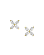 Lucia Earrings