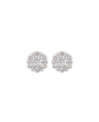 Rose Setting Earrings