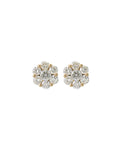 Rose Setting Earrings