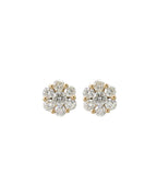 Rose Setting Earrings
